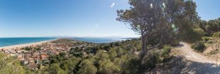 Alerte - La Méditerranée se vide de sa biodiversité !
