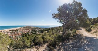 Alerte - La Méditerranée se vide de sa biodiversité !