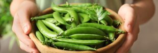 Antigaspi : comment cuisiner les cosses de fèves et de petits pois ?