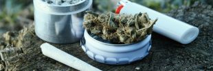 Dépénaliser le cannabis, une idée qui a fait son chemin chez les Français