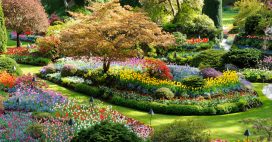 Fabuleux – 6 jardins parmi les plus beaux du monde !