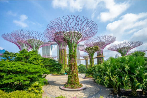 jardins du monde