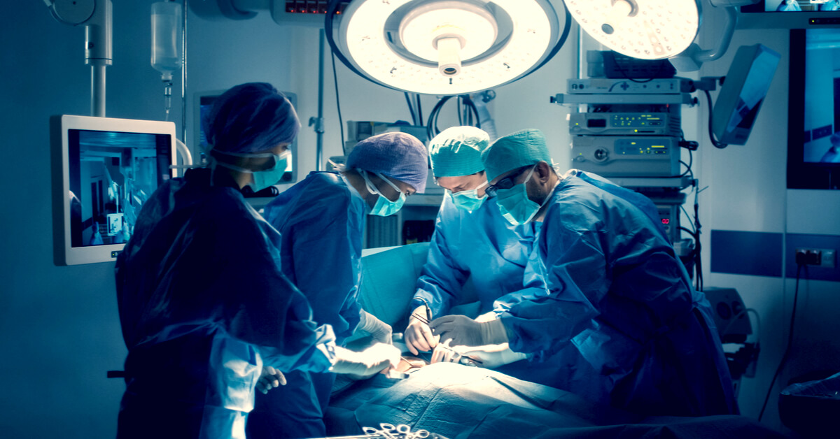 Poumon de porc greffé à l'homme : une étape d'essai, pas encore un traitement Poumon de porc greffé à l'homme : une étape d'essai, pas encore un traitement