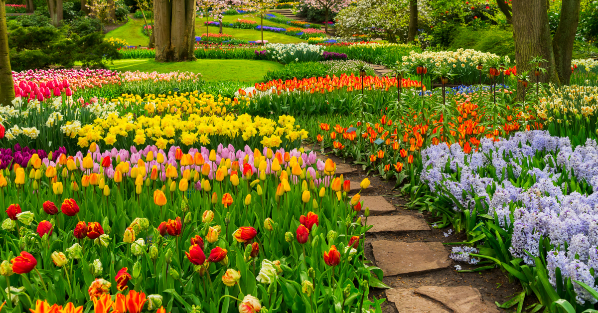 6 jardins privés très appréciés des photographes !