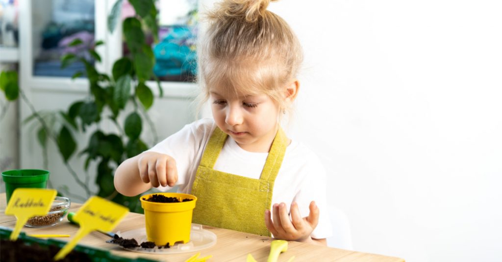 4 plantes grimpantes faciles à faire pousser avec les enfants