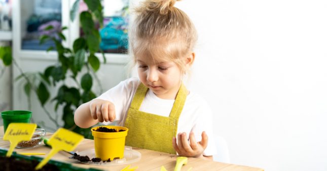 Des plantes grimpantes faciles à faire pousser avec les enfants
