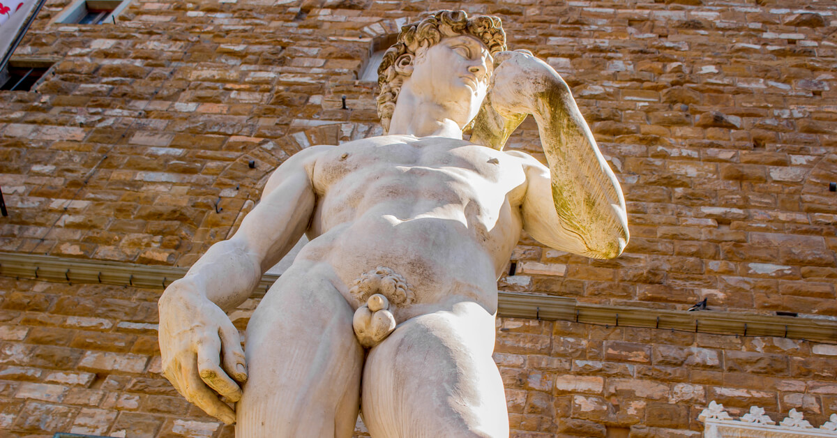 Oui, il existe des ressemblances entre cerveau humain et... testicules !