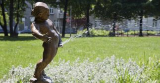 L'urine au jardin, c'est bon pour les plantes ou pas ? L'urine au jardin, c'est bon pour les plantes ou pas ?