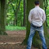 L'urine au jardin, c'est bon pour les plantes ou pas ? L'urine au jardin, c'est bon pour les plantes ou pas ?
