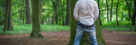L'urine au jardin, c'est bon pour les plantes ou pas ? L'urine au jardin, c'est bon pour les plantes ou pas ?