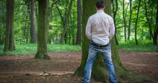 L'urine au jardin, c'est bon pour les plantes ou pas ?