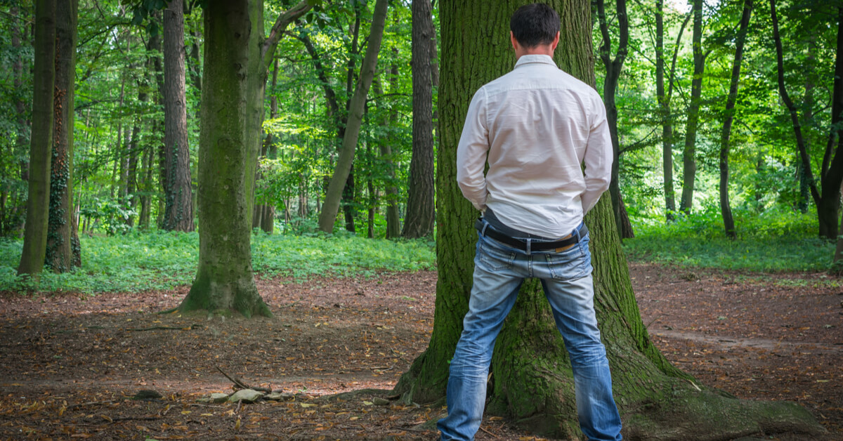 6 choses que vous ne savez (peut-être) pas à propos de l'urine