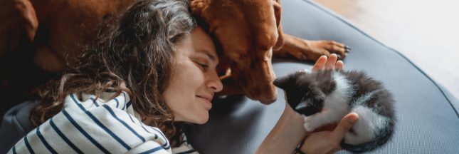 Le rhume du chat (coryza) : savoir reconnaître les premiers symptômes pour agir au plus vite