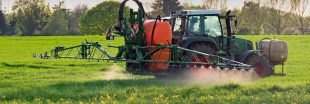 Glyphosate : la bataille de la réautorisation commence
