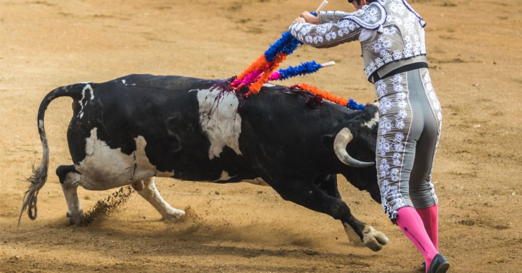 Corrida : à Nîmes, toujours pas de justice pour les taureaux !