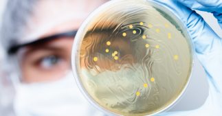 différence entre virus et bactérie