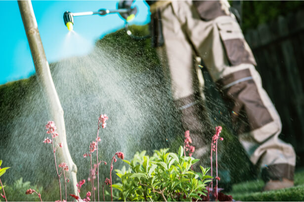 pesticides maladies graves