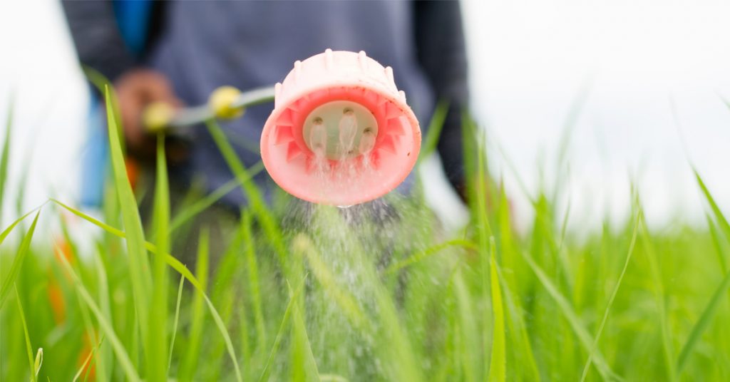 Les craintes se confirment : l’exposition aux pesticides provoque des maladies graves