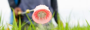 Les craintes se confirment : l'exposition aux pesticides provoque des maladies graves