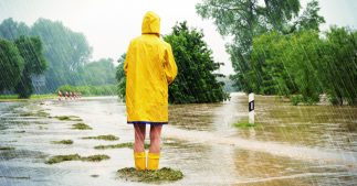 Le réchauffement climatique, regardons-le en face ! Le réchauffement climatique, regardons-le en face !