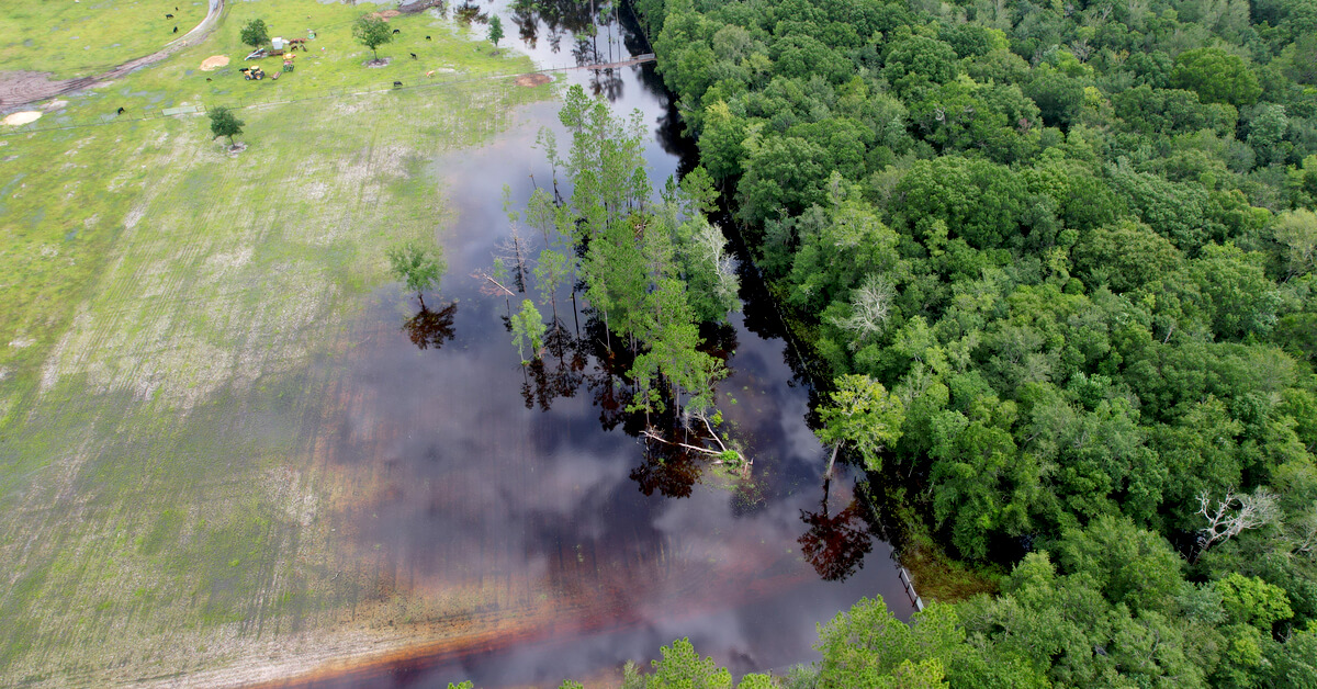 Incendies : Thomas Pesquet s'alarme de la situation depuis l'ISS Incendies : Thomas Pesquet s'alarme de la situation depuis l'ISS