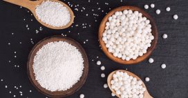 Recettes minceur à base de tapioca Recettes minceur à base de tapioca