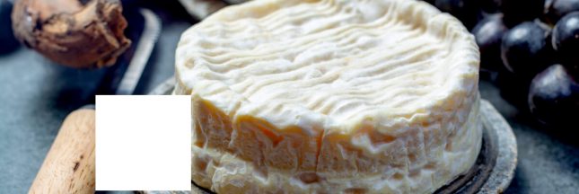 camembert AOP lactalis