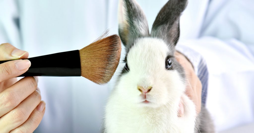 Laboratoires et cosmétiques : agissez contre les tests sur les animaux !