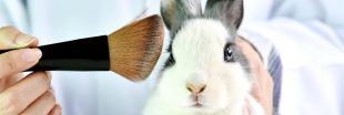 Laboratoires et cosmétiques : agissez contre les tests sur les animaux !