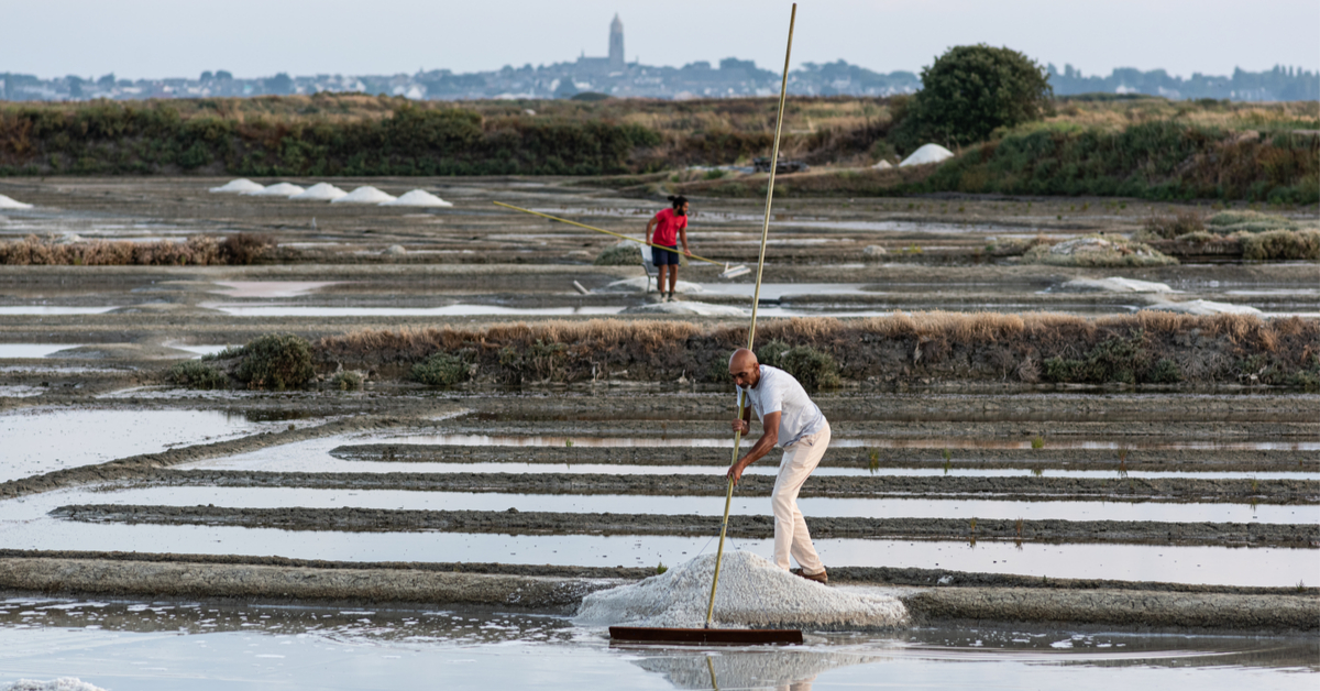 La Fleur de sel de Guérande bien meilleure que les sels fins, voici pourquoi