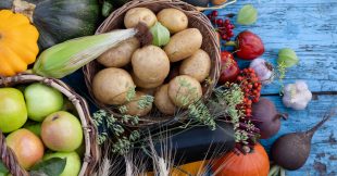 Octobre : fruits et légumes de saison, poisson, viande et fromage