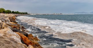 Le liga : une boue issue de la pollution qui menace poissons et pêche Le liga : une boue issue de la pollution qui menace poissons et pêche