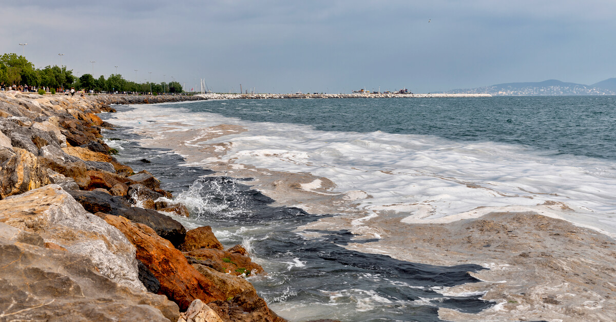 Le liga : une boue issue de la pollution qui menace poissons et pêche