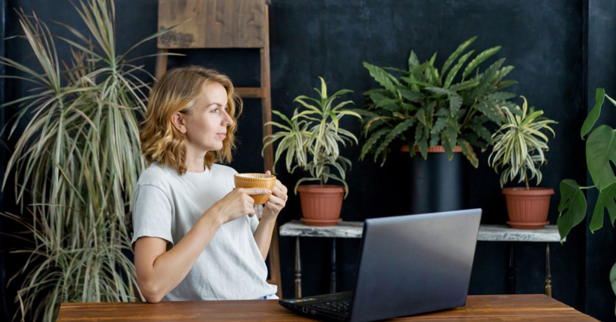 Pour être heureux au travail, entourez-vous de plantes, mais pas n'importe lesquelles