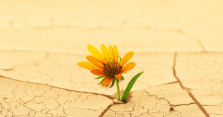 Réchauffement climatique : pourquoi il ne faut pas baisser les bras Réchauffement climatique : pourquoi il ne faut pas baisser les bras