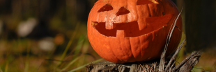 Des idées terribles pour fêter Halloween écolo et zéro déchet