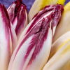 L'endive et la chicorée : comment bien les cuisiner