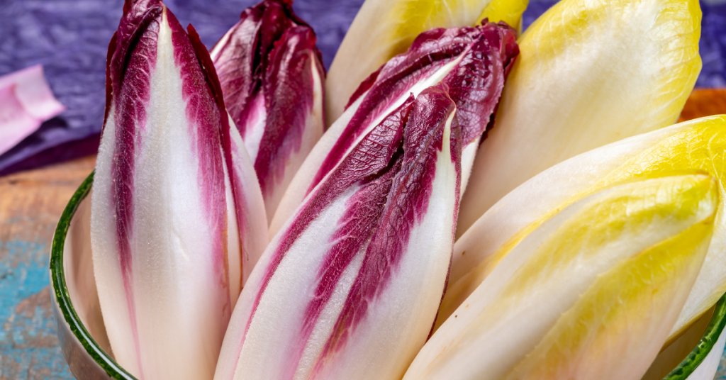 L’endive et la chicorée : comment bien les cuisiner