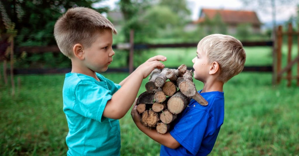 Bois de chauffage : peut-on se chauffer avec du bois trouvé en forêt ?