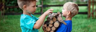 Bois de chauffage : peut-on se chauffer avec du bois trouvé en forêt ?