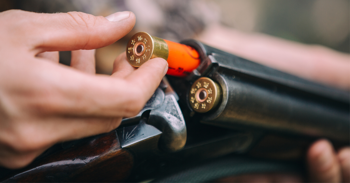 Chasser des animaux piégés dans un enclos : un loisir qui passe mal