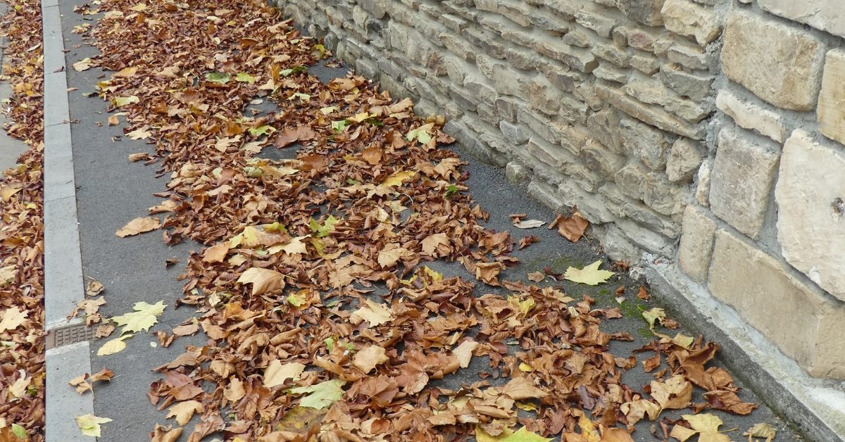 Ramasser les feuilles mortes devant chez soi, obligation ou précaution ?