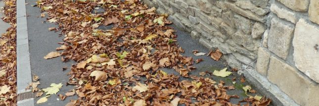 ramasser les feuilles mortes devant chez soi