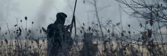 hécatombe de rapaces