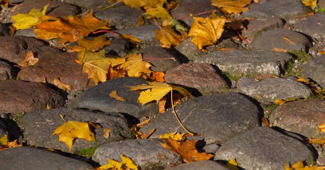 Ramasser les feuilles mortes devant chez soi, obligation ou précaution ?