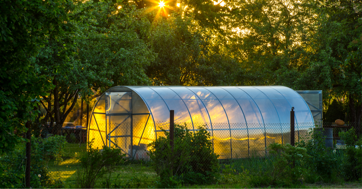 Va-t-on enfin dire adieu aux taxes sur les serres des jardins particuliers ?