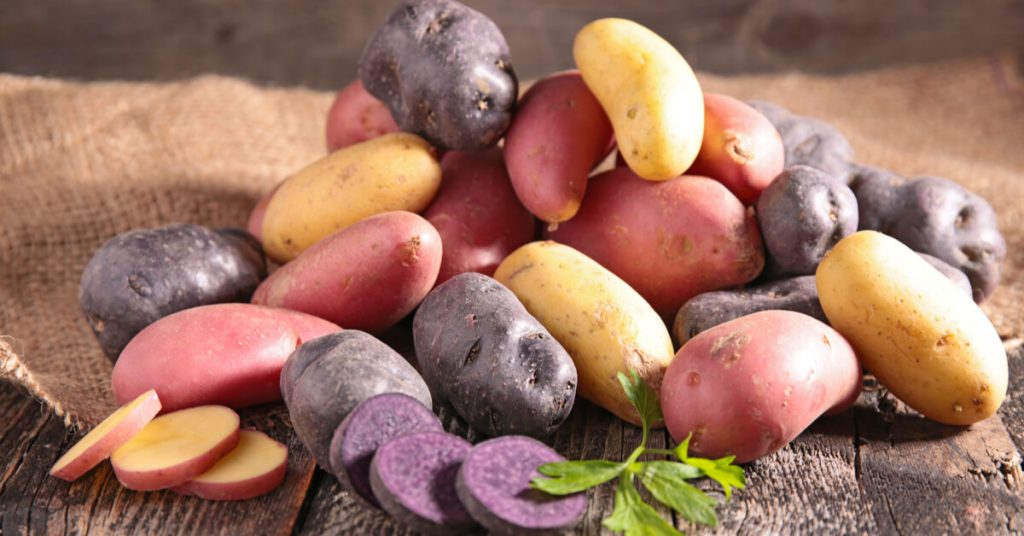 Quelle variété de pommes de terre pour quelle utilisation ?