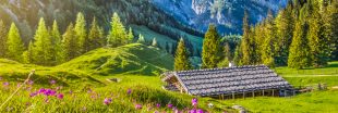 Les Alpes, un des écosystèmes les plus menacés du monde