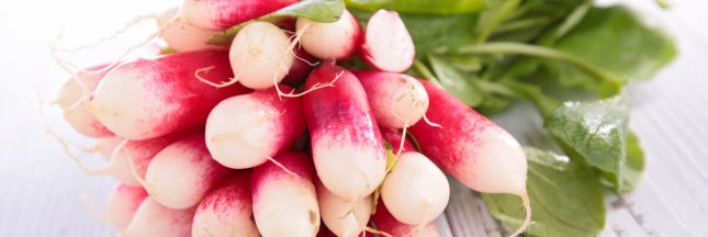 botte de radis
