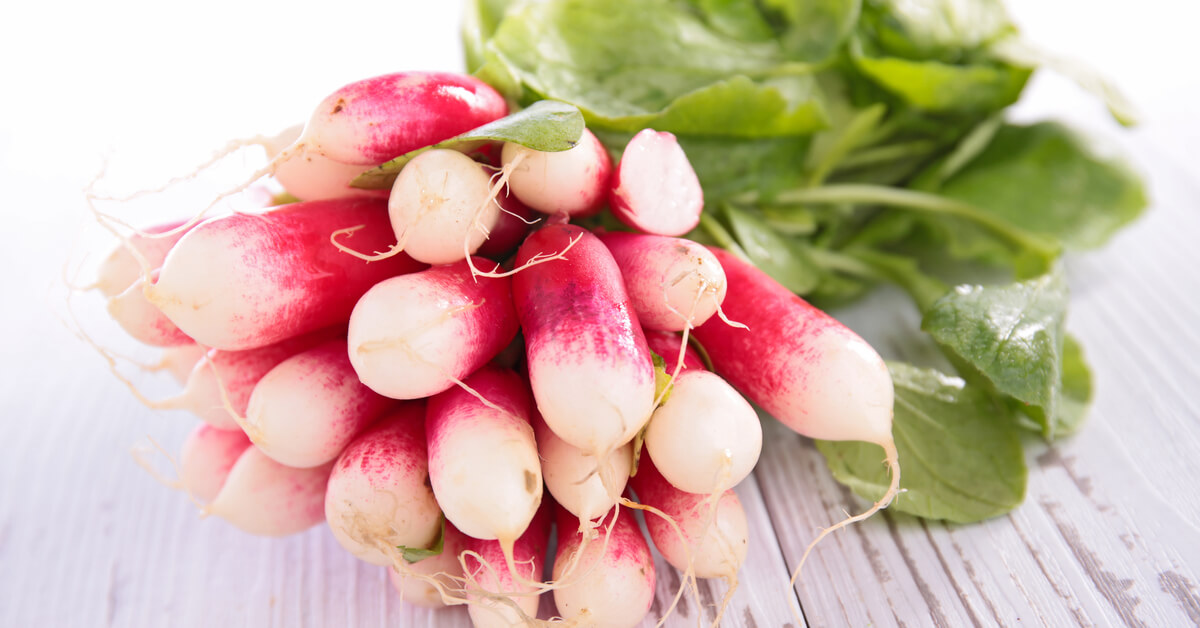 Décret sur l'emballage : les radis garderont leurs élastiques ! Décret sur l'emballage : les radis garderont leurs élastiques !